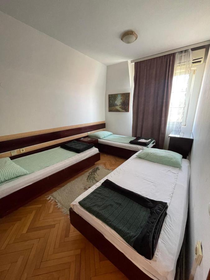 Vila Grinka M Zaječar Esterno foto